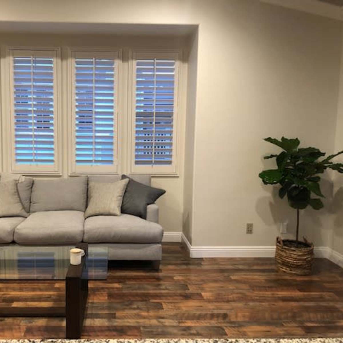 A light gray sofa with several cushions, positioned in front of a window with white shutters, along with a glass coffee table and a potted plant in a woven basket.