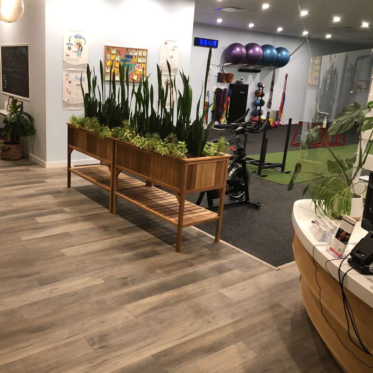 A spacious reception area with wooden flooring, a seating area, a planter with tall green plants, and a gym section visible in the background.