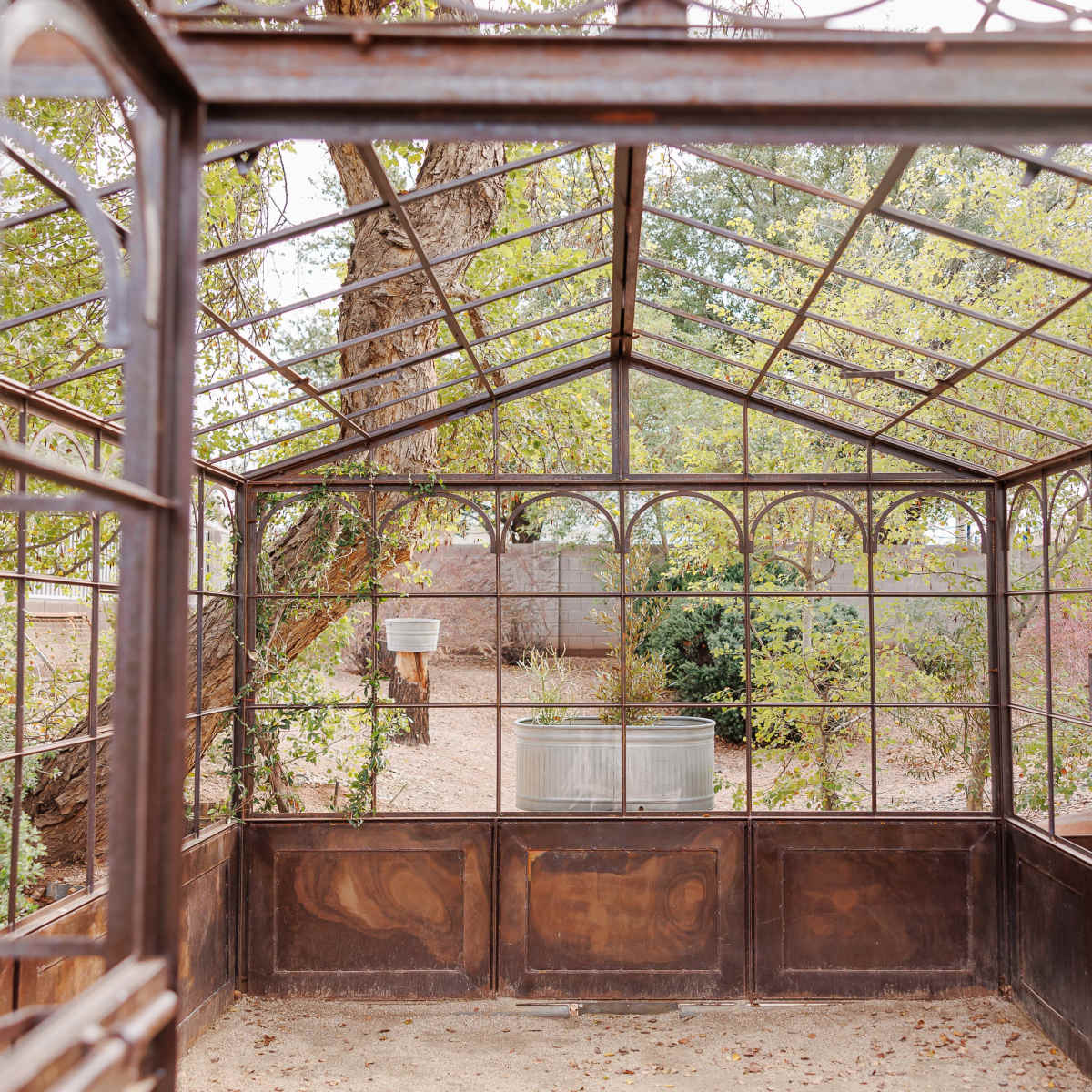The interior of a glass greenhouse with metal frames, surrounded by trees and greenery.