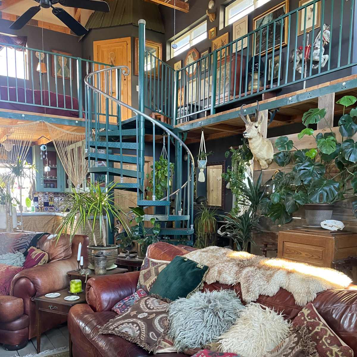 A rustic living room with a spiral staircase, various houseplants, and a large leather sofa adorned with decorative pillows and throws.
