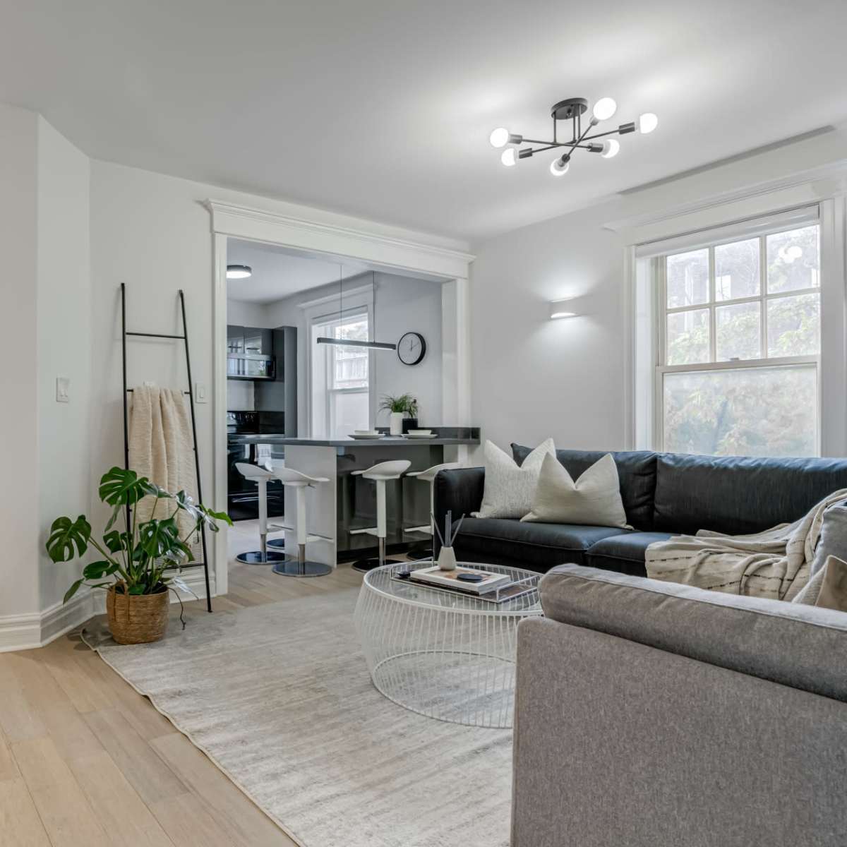 A modern, open-concept living space with a dark sofa, light hardwood floors, and a visible kitchen area.