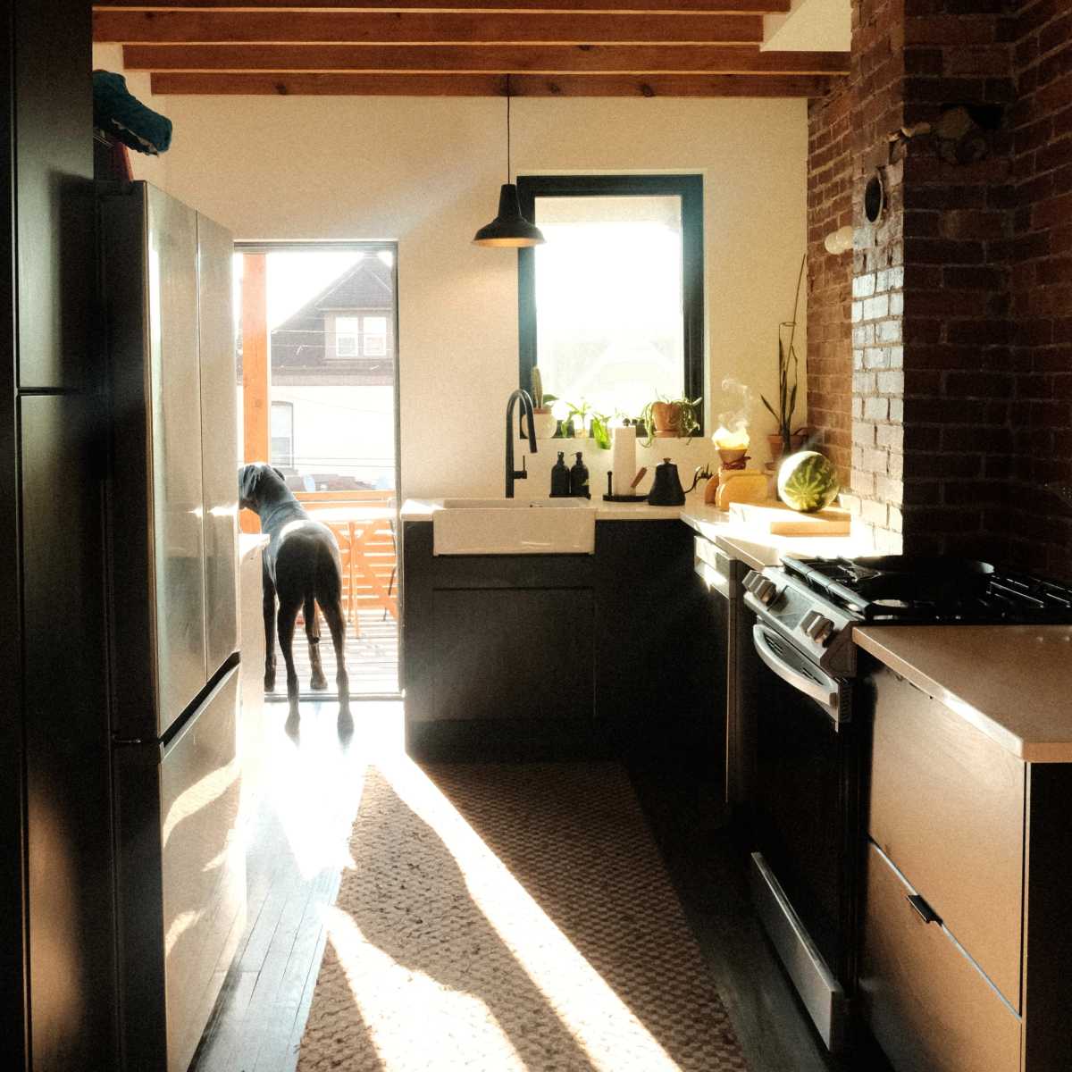Artist Rowhouse in the East End in Pittsburgh Image in Morningside, Pittsburgh, PA