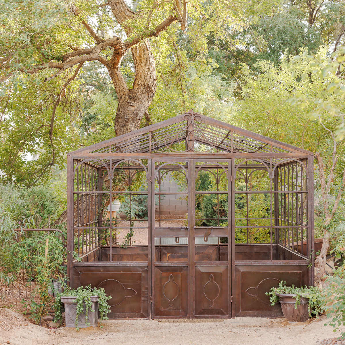 A rustic greenhouse made of metal and glass, surrounded by lush greenery and trees.