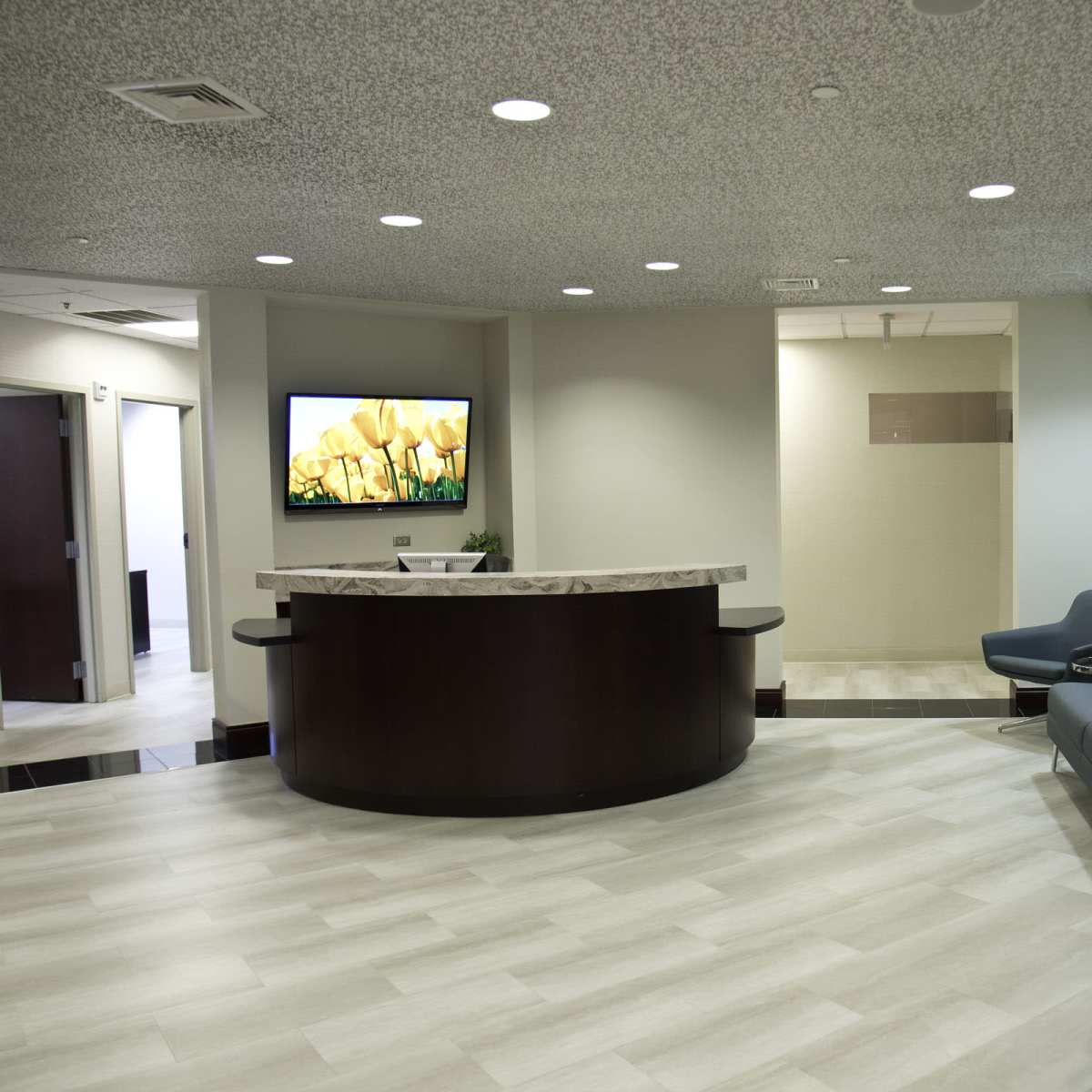 A modern reception area with a curved desk, a television displaying artwork, a gray seating area, and potted plants.