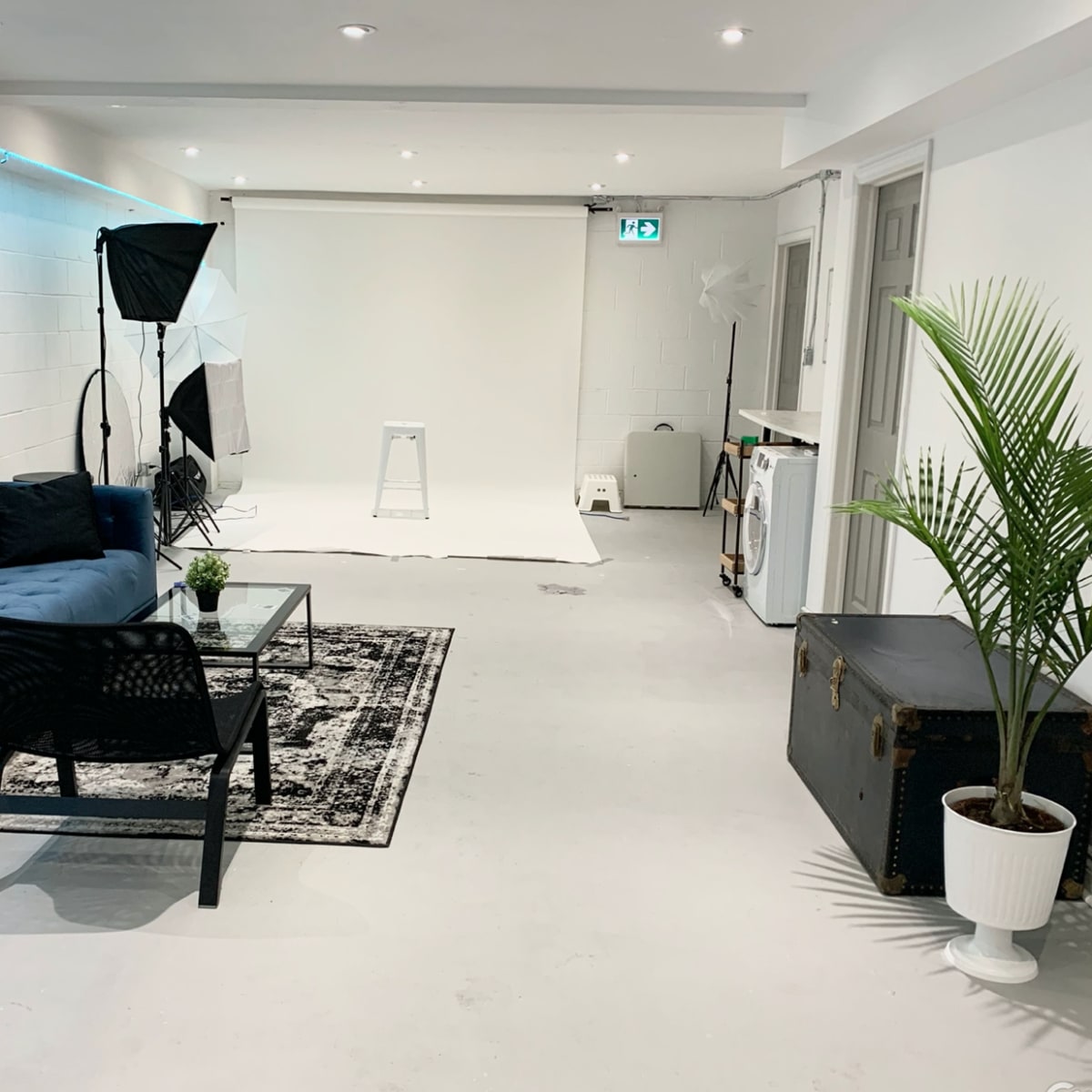 A well-lit studio space featuring a blue couch, a coffee table, a potted plant, and photography equipment set against a white backdrop.