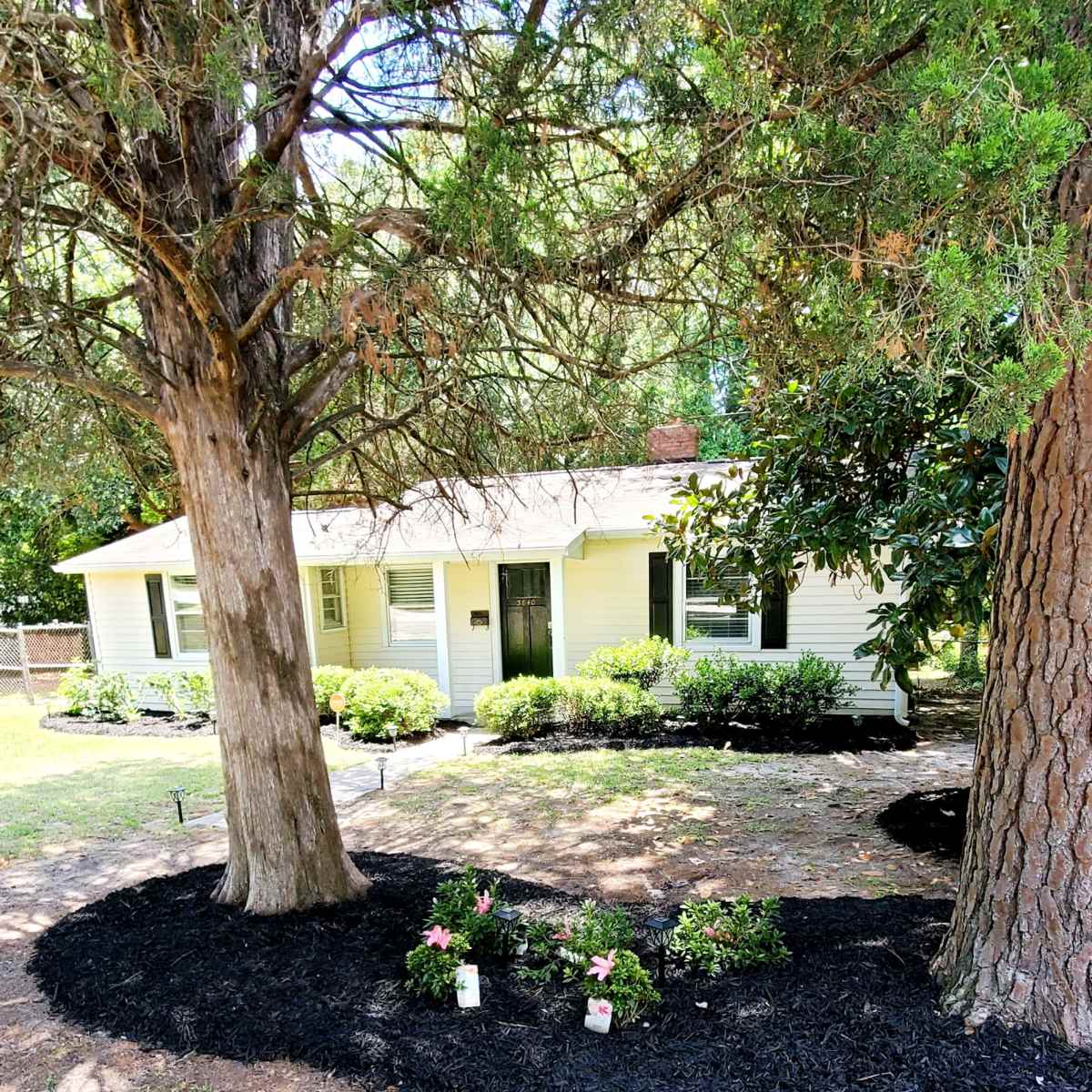 A landscaped area with black mulch and small pink flowers is planted in front of a yellow house surrounded by trees.