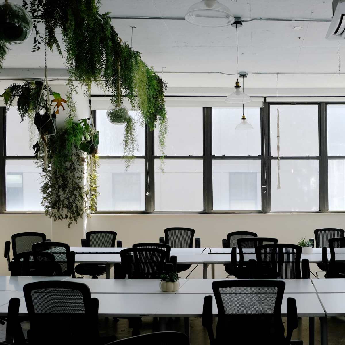 A modern office space with multiple white tables and black chairs arranged under hanging plants and large windows.