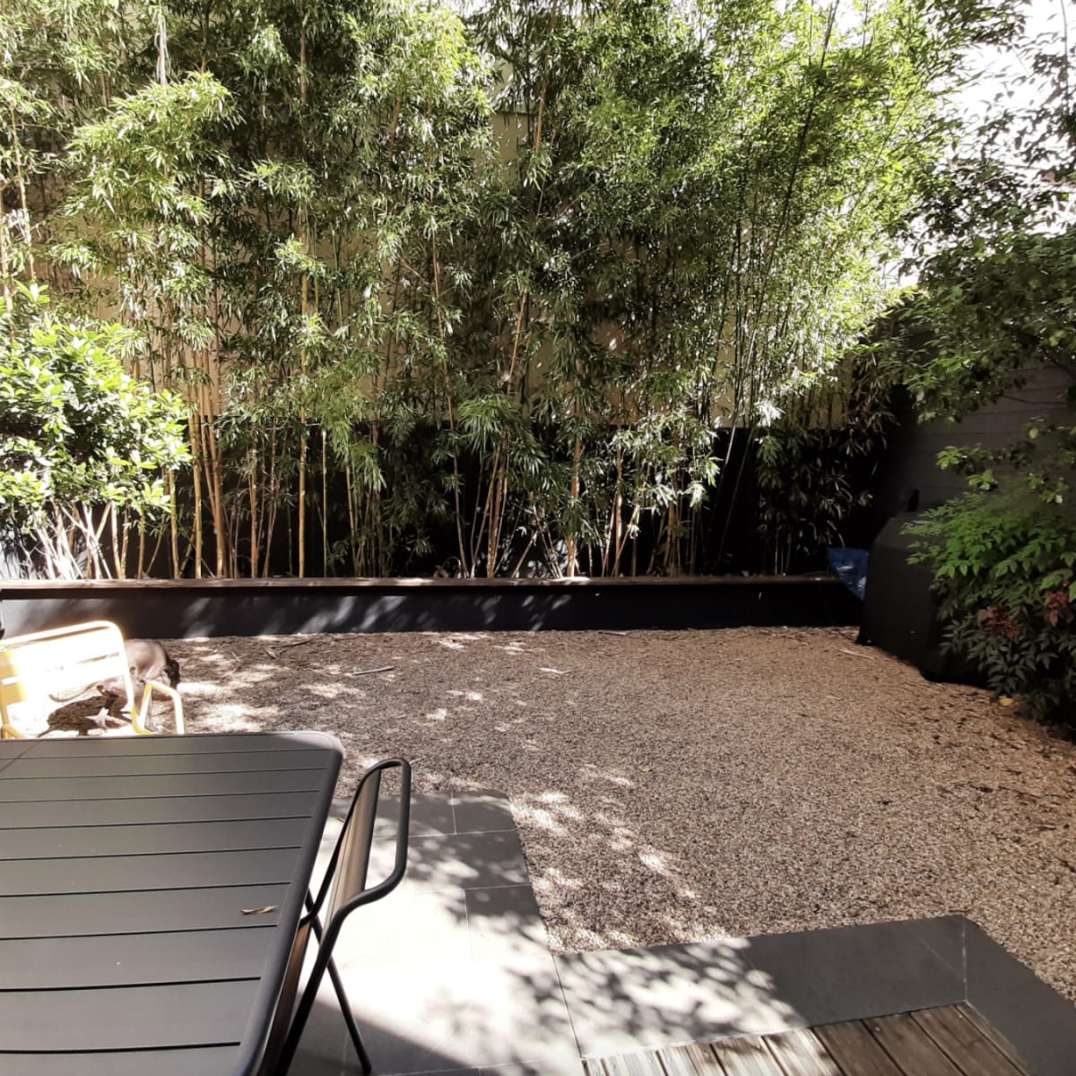 A gravel patio area is surrounded by dense bamboo and shrubbery, with a table and chair set in the foreground.