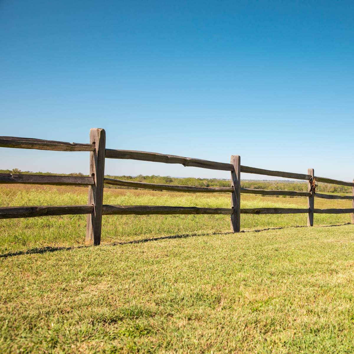 A wooden fence runs along a grassy field beneath a clear blue sky.
