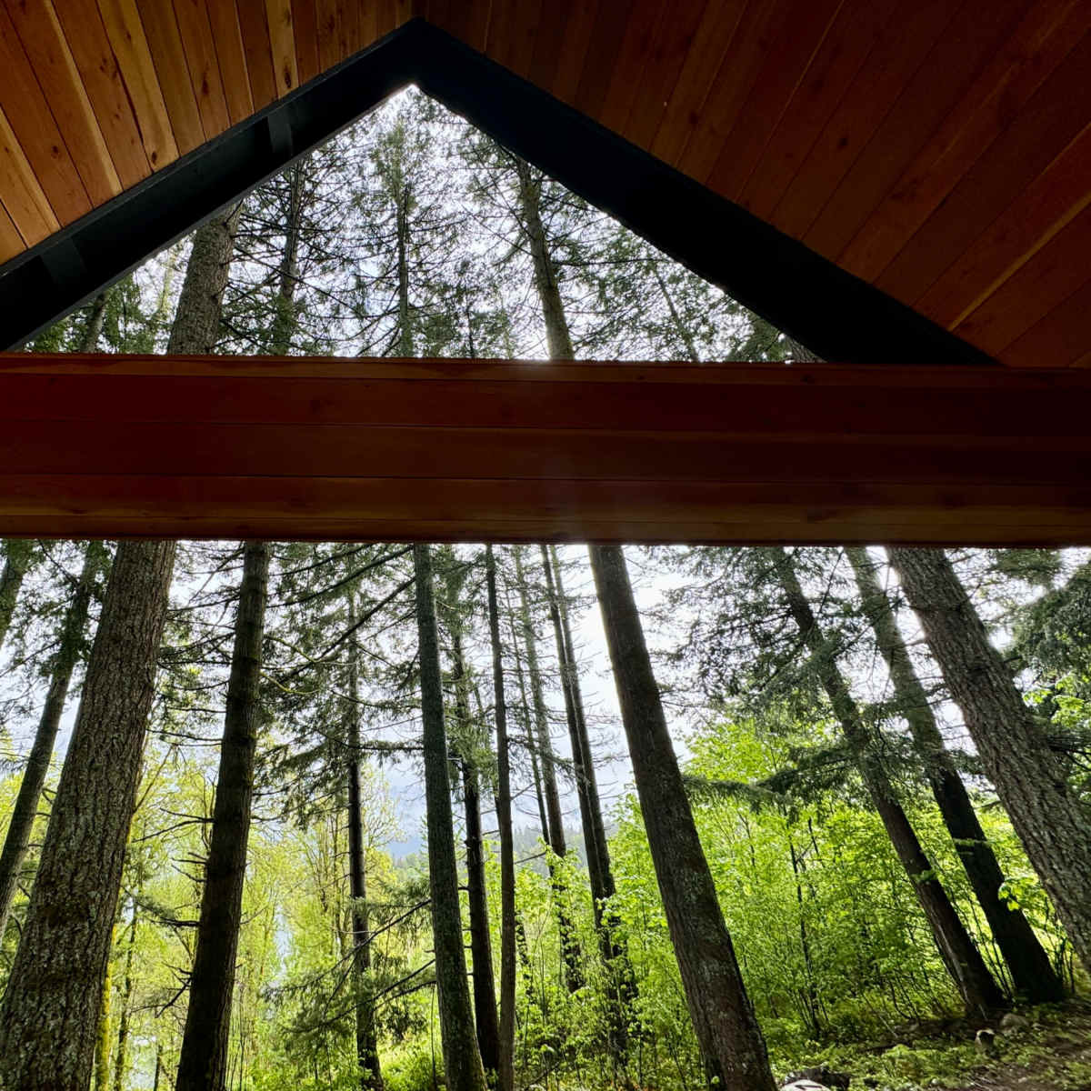 A view from inside a building with a wooden ceiling, framed by large trees and greenery outside.