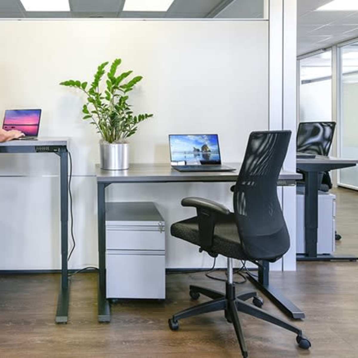 A person is working at a standing desk in an office with two laptops and a potted plant on the counter.