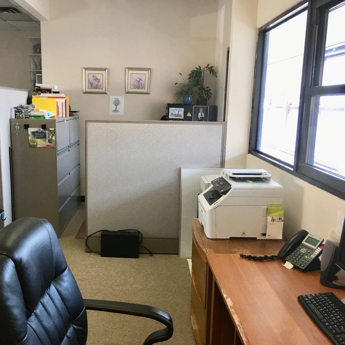 An office space with a black chair, a wooden desk with a phone and printer, and cubicle partitions separating work areas.