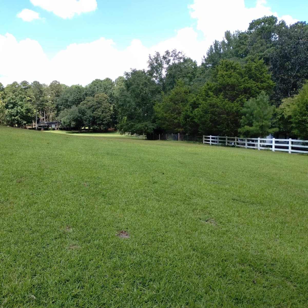 A grassy field extends towards a wooded area, with a white fence lining one side.