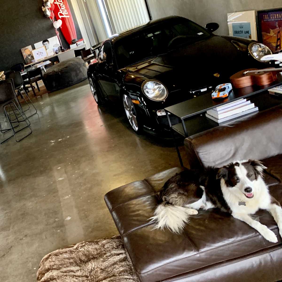 A modern, spacious room features a sleek black car, a stylish bar area with seating, and a brown dog resting on a leather couch.