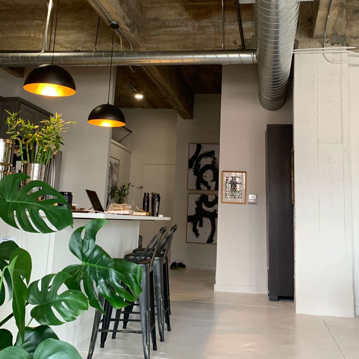A modern interior space with exposed concrete ceilings, industrial-style pendant lights, and a plant beside a kitchen island.