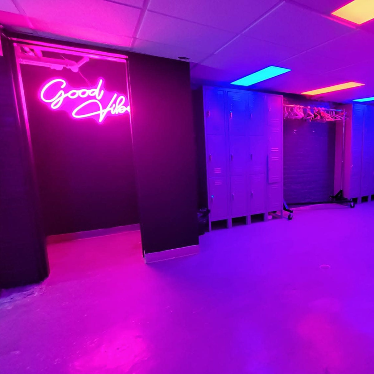 Vibrant Lower-Level Space in Toronto Image in Regal Heights, Toronto, ON
