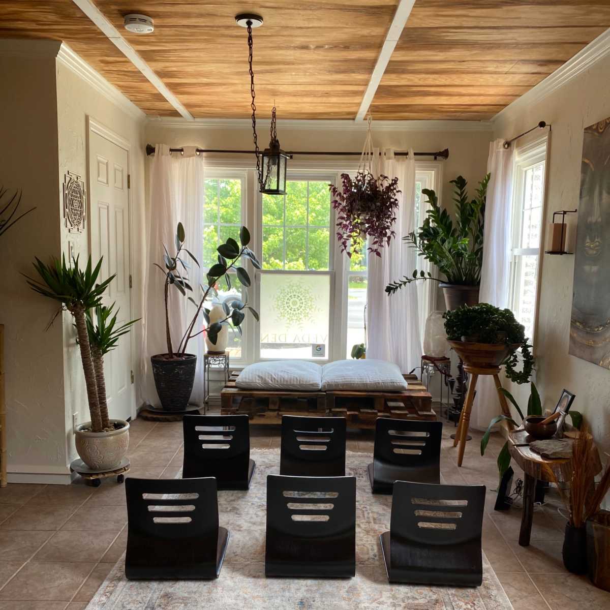 A calm interior space features a row of black chairs facing a large window, surrounded by various indoor plants and a decorative rug.