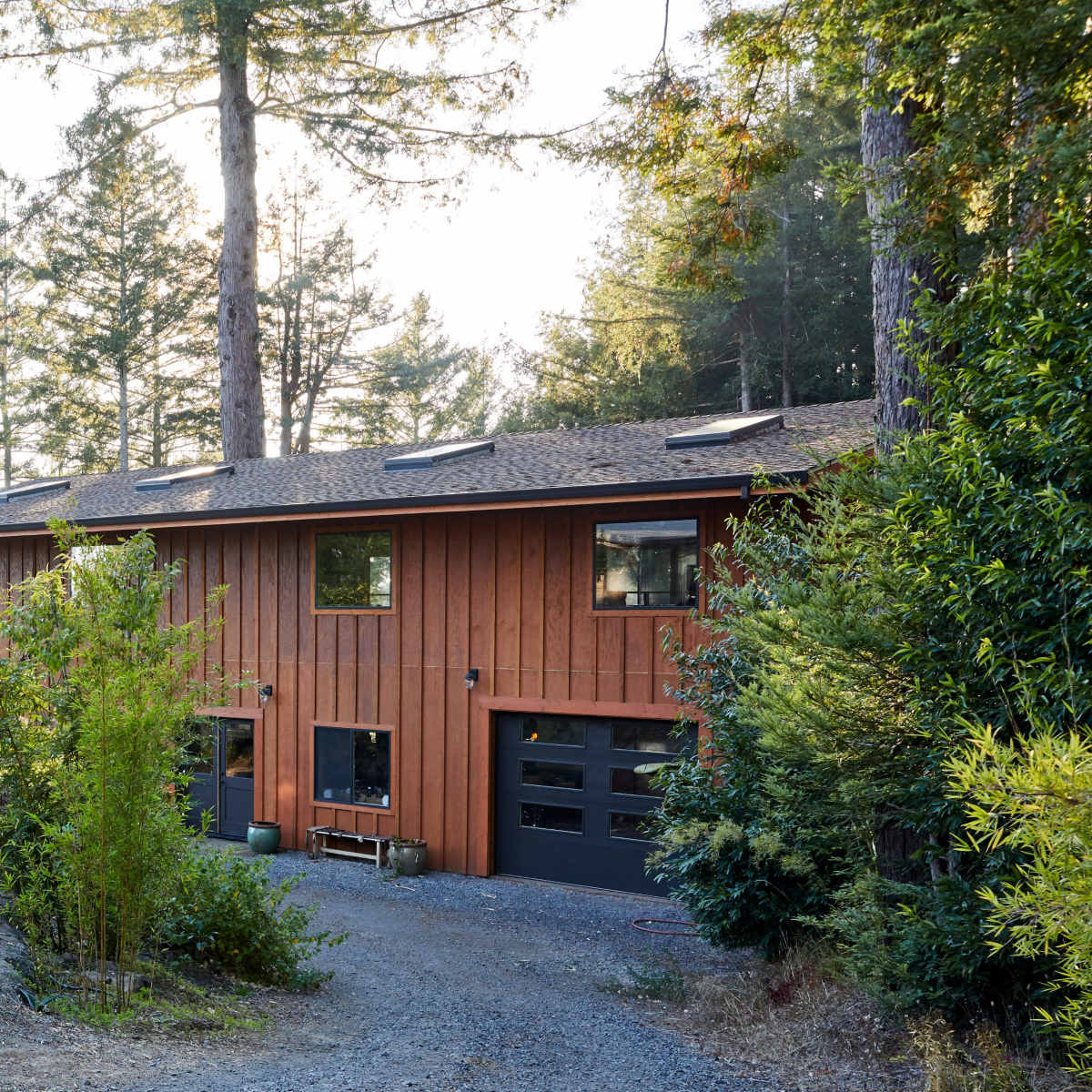 A modern wooden house is situated among tall trees with a gravel driveway leading up to it.