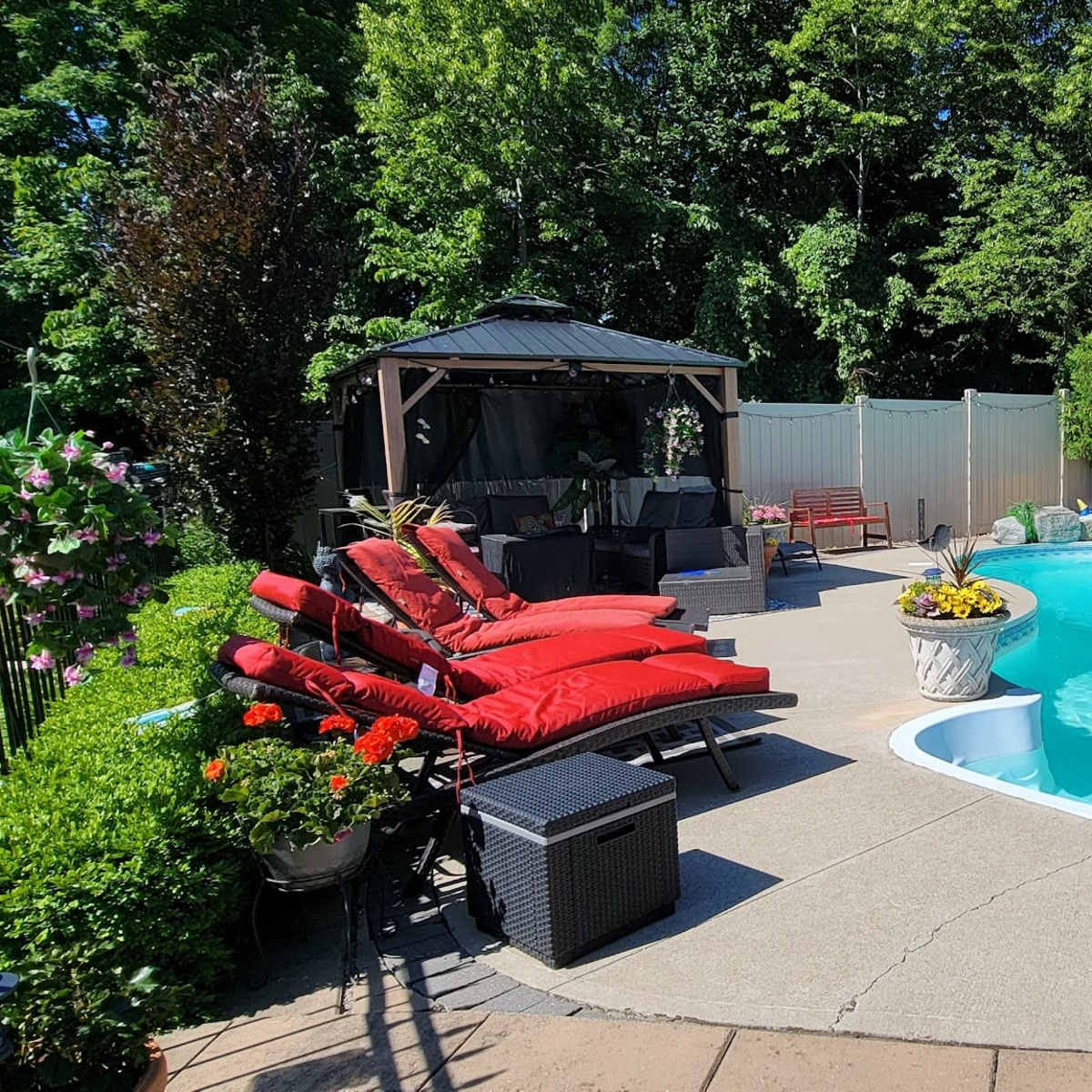 A well-maintained backyard pool area with red lounge chairs, potted plants, and a gazebo, surrounded by lush greenery and a small yellow shed.