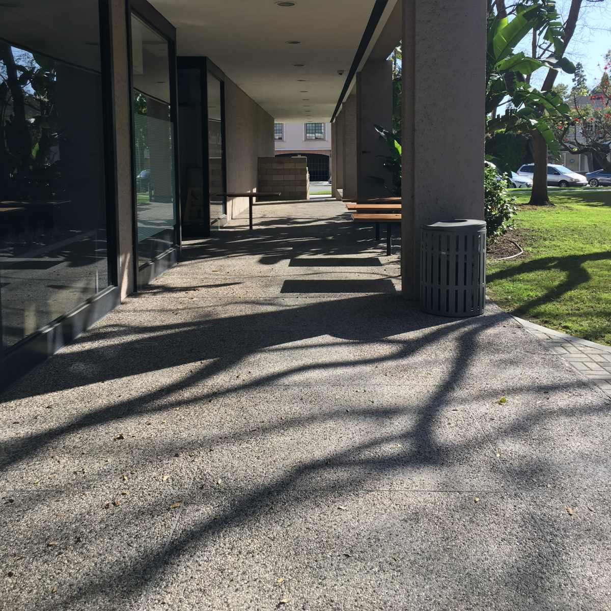 A walkway beside a building with benches and a trash can, surrounded by trees and grass.
