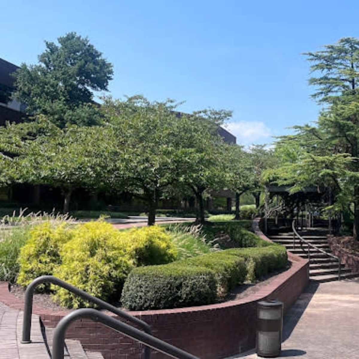 A landscaped pathway lined with green trees and shrubs, leading to a pond surrounded by vegetation.