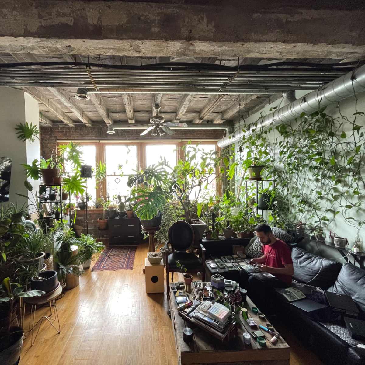 A person sits on a black couch in a plant-filled living room with large windows and exposed beams.