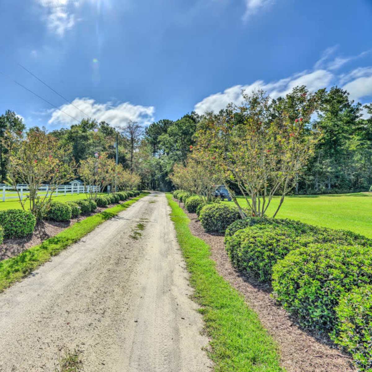 A dirt driveway lined with neatly trimmed bushes leads towards a house surrounded by trees and a white fence.