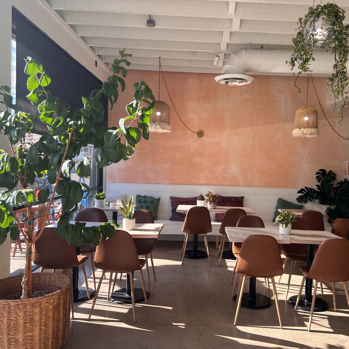 A light-filled café interior with wooden tables, brown chairs, hanging light fixtures, and green plants against a peach-colored wall.
