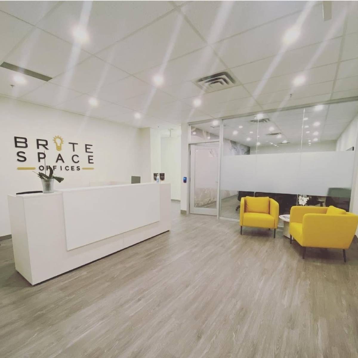 A modern office reception area featuring a white desk, two yellow chairs, and a glass-walled meeting room.