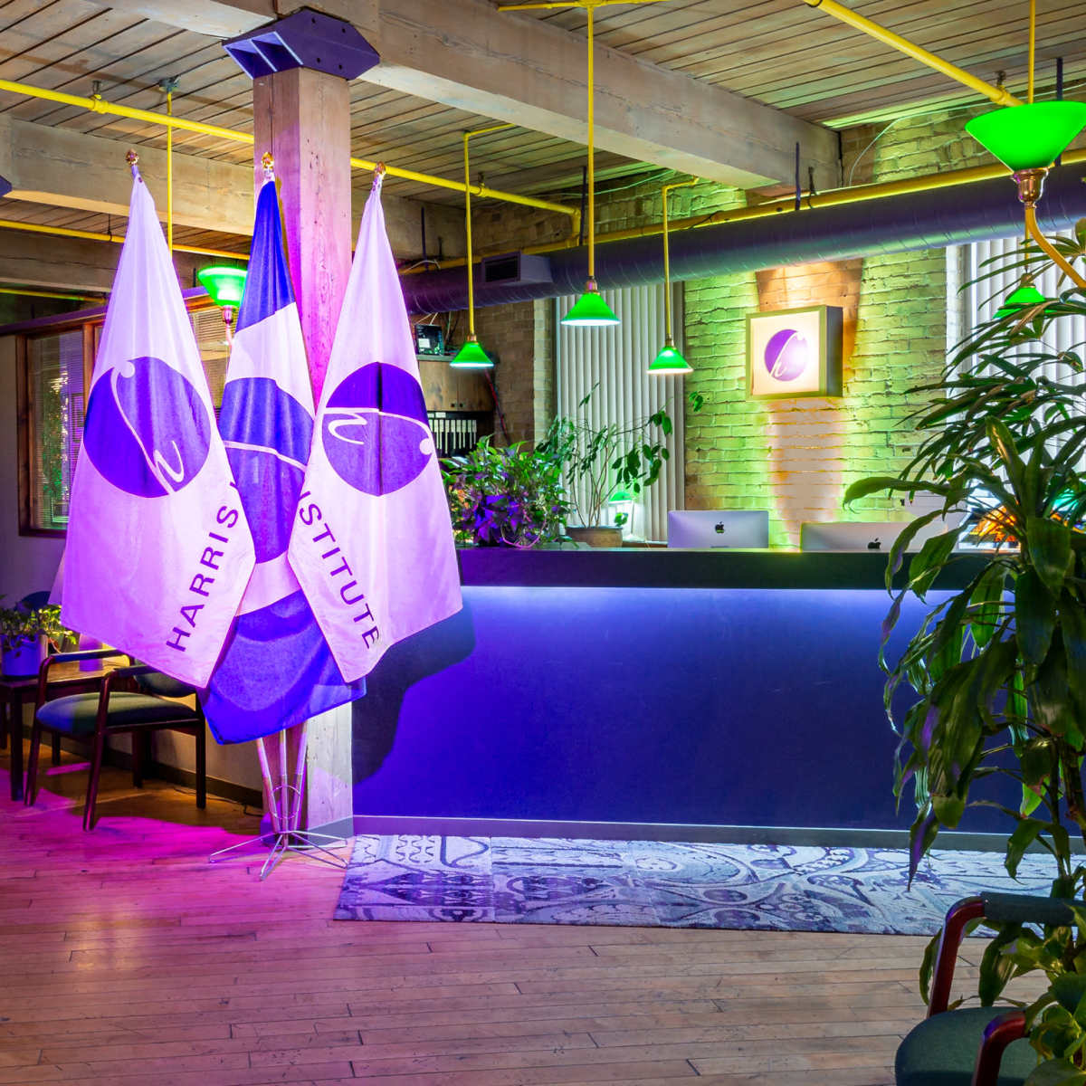 A modern reception area with flags, a desk illuminated by green lights, and plants in the interior space.