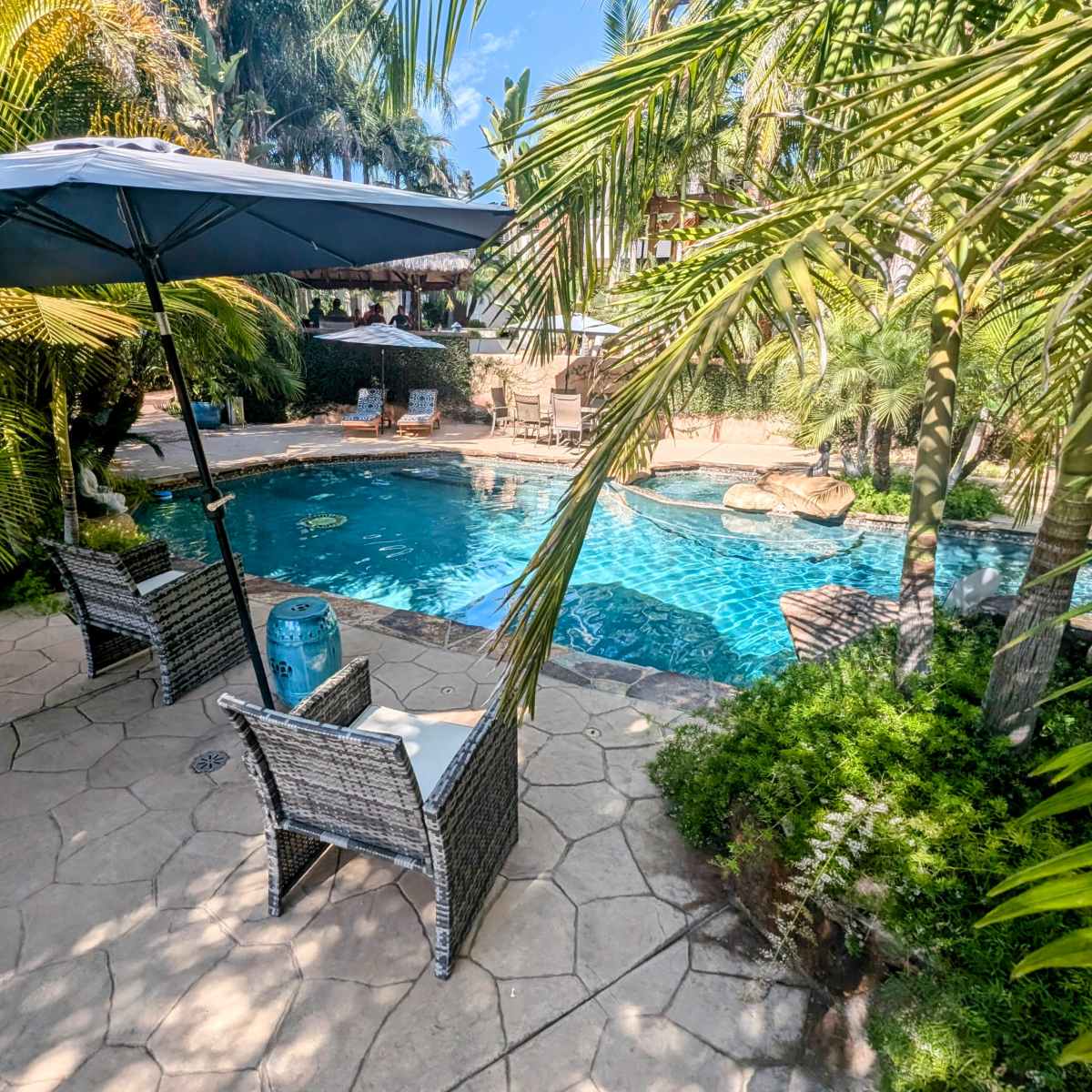 A backyard pool area surrounded by palm trees, featuring two chairs under an umbrella near the water.
