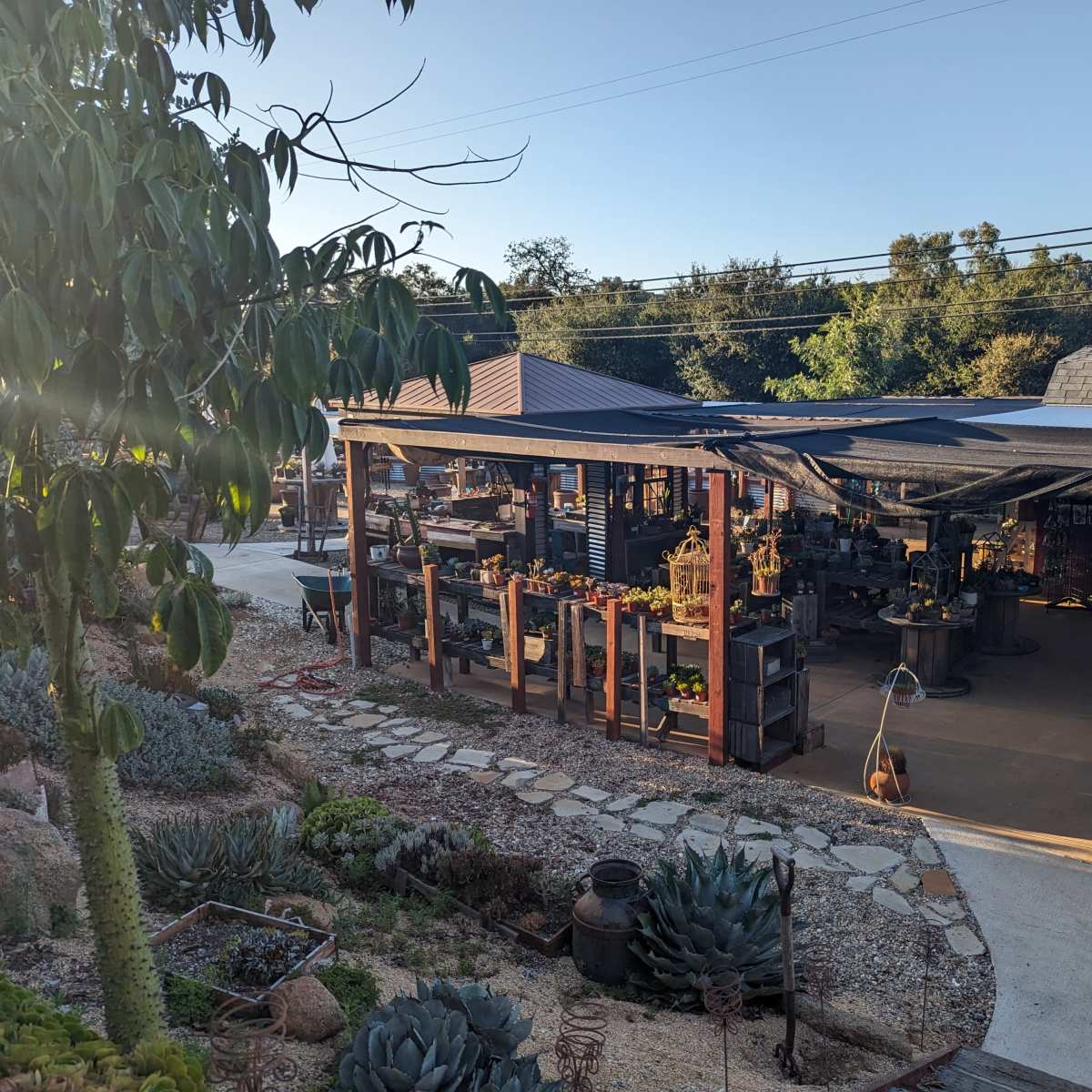A garden center with various potted plants and succulents arranged under a shaded structure, surrounded by greenery and pathways.