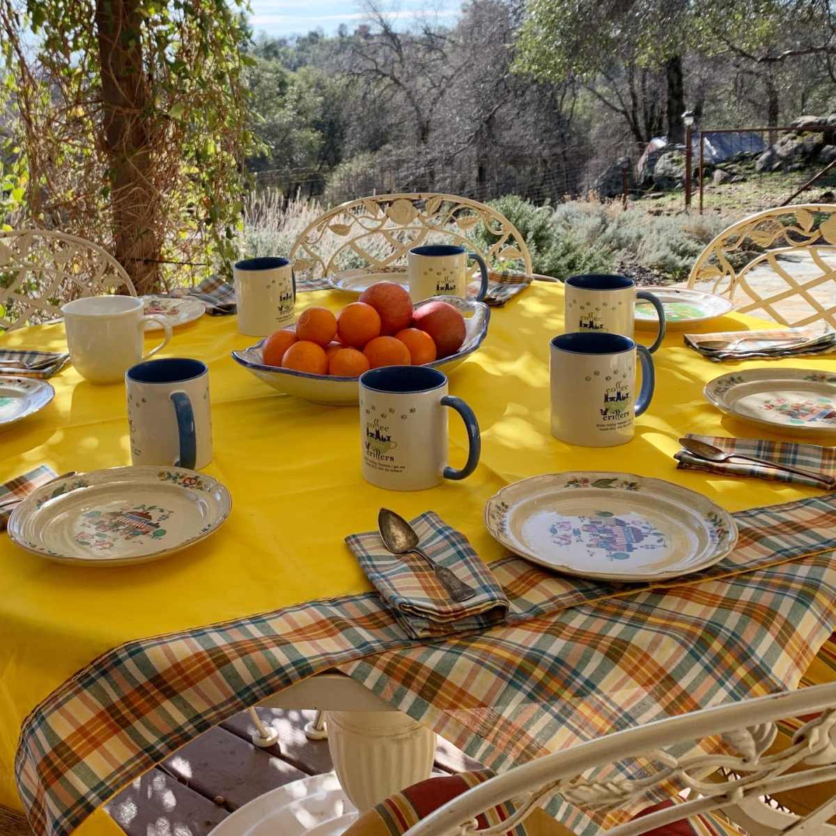 A set outdoor dining table is arranged with blue and white mugs, plates, and a bowl of oranges, surrounded by greenery under a clear sky.