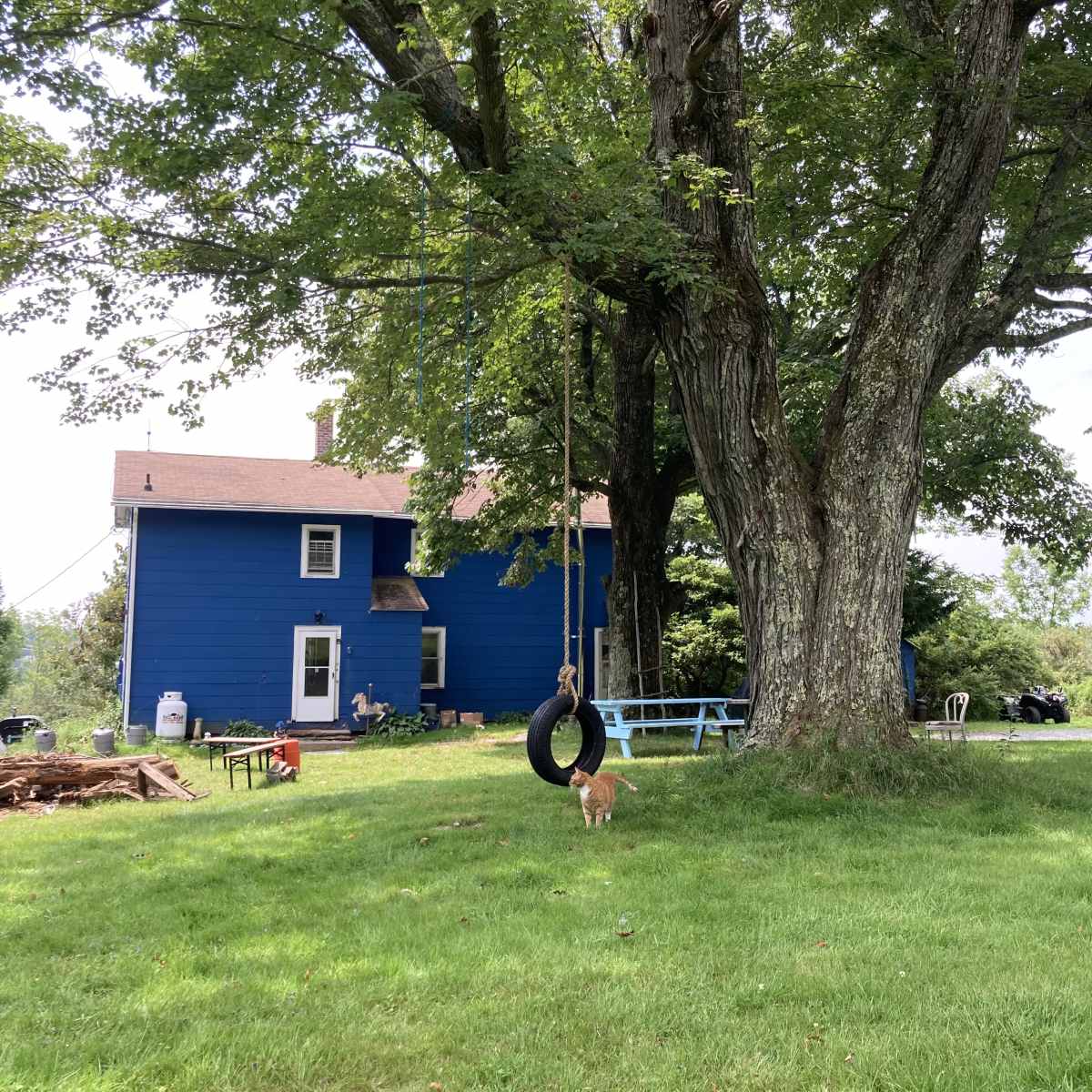Expansive Farm in the Catskills in Liberty Image in , Liberty, NY