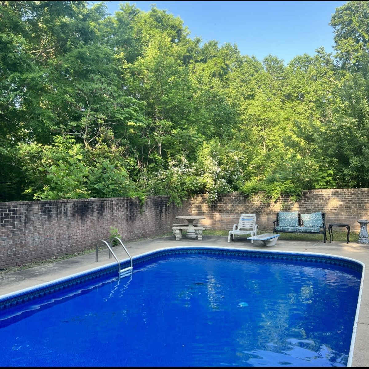 A rectangular swimming pool is surrounded by a brick wall and lush green trees.