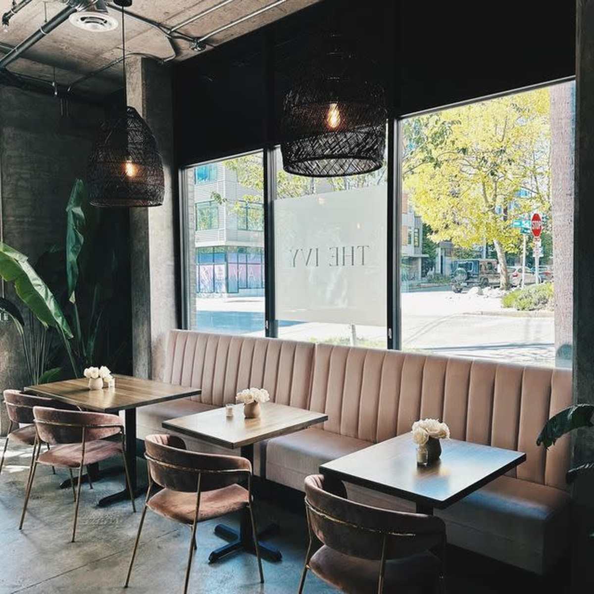 Full restaurant /  Aesthetic Lounge Space in Seattle Image in Adams, Seattle, WA