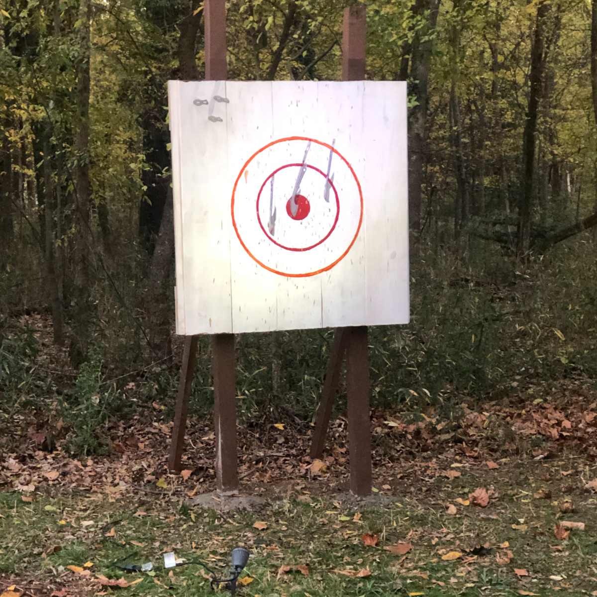 A wooden target with concentric red circles is mounted on a stand in a forested area, surrounded by fallen leaves and debris.