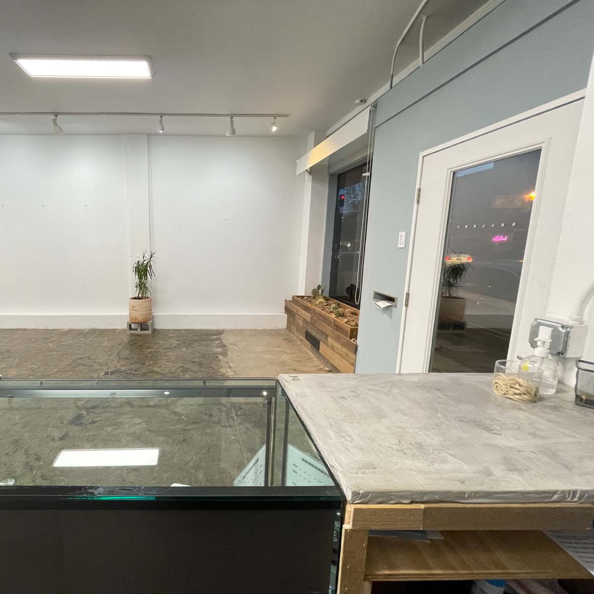 A sparsely furnished interior of a shop with a clear view of the floor, a glass display case, a counter, and a planter along the wall.