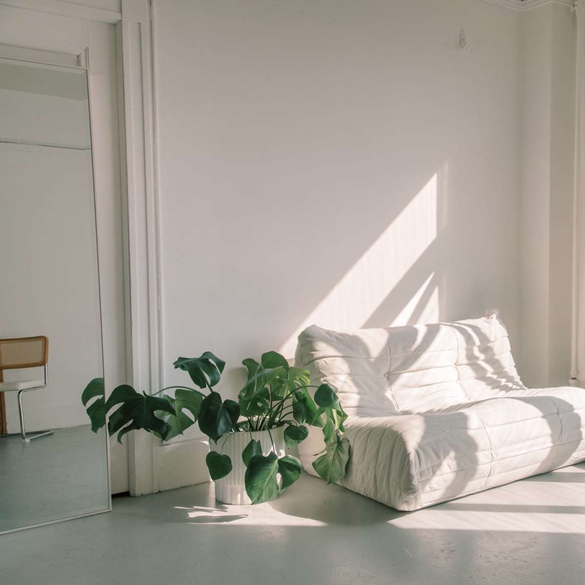 A light-filled room features a white sofa next to a potted plant and a window with city views.