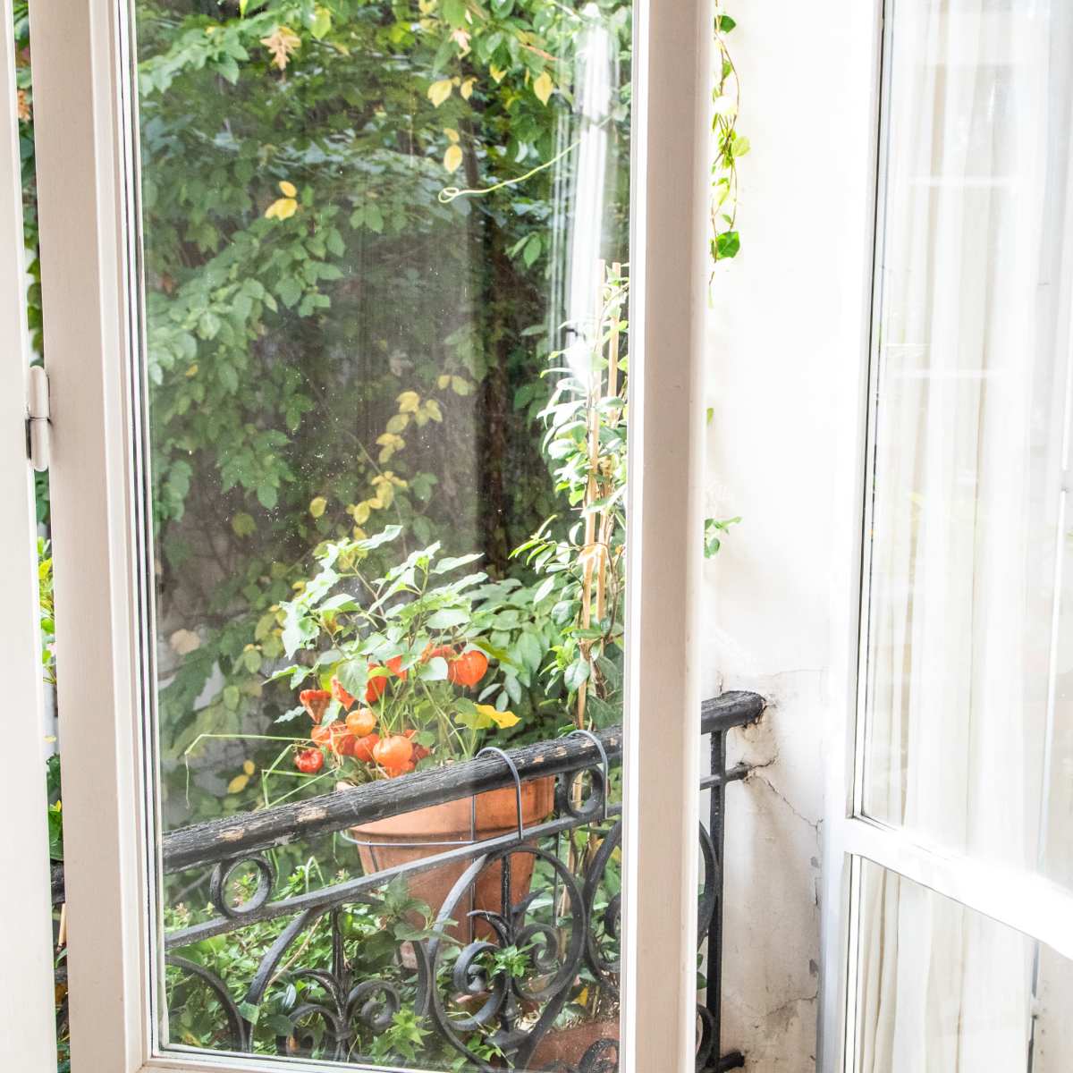 A window with white frames opens to a view of a green balcony garden with potted plants.