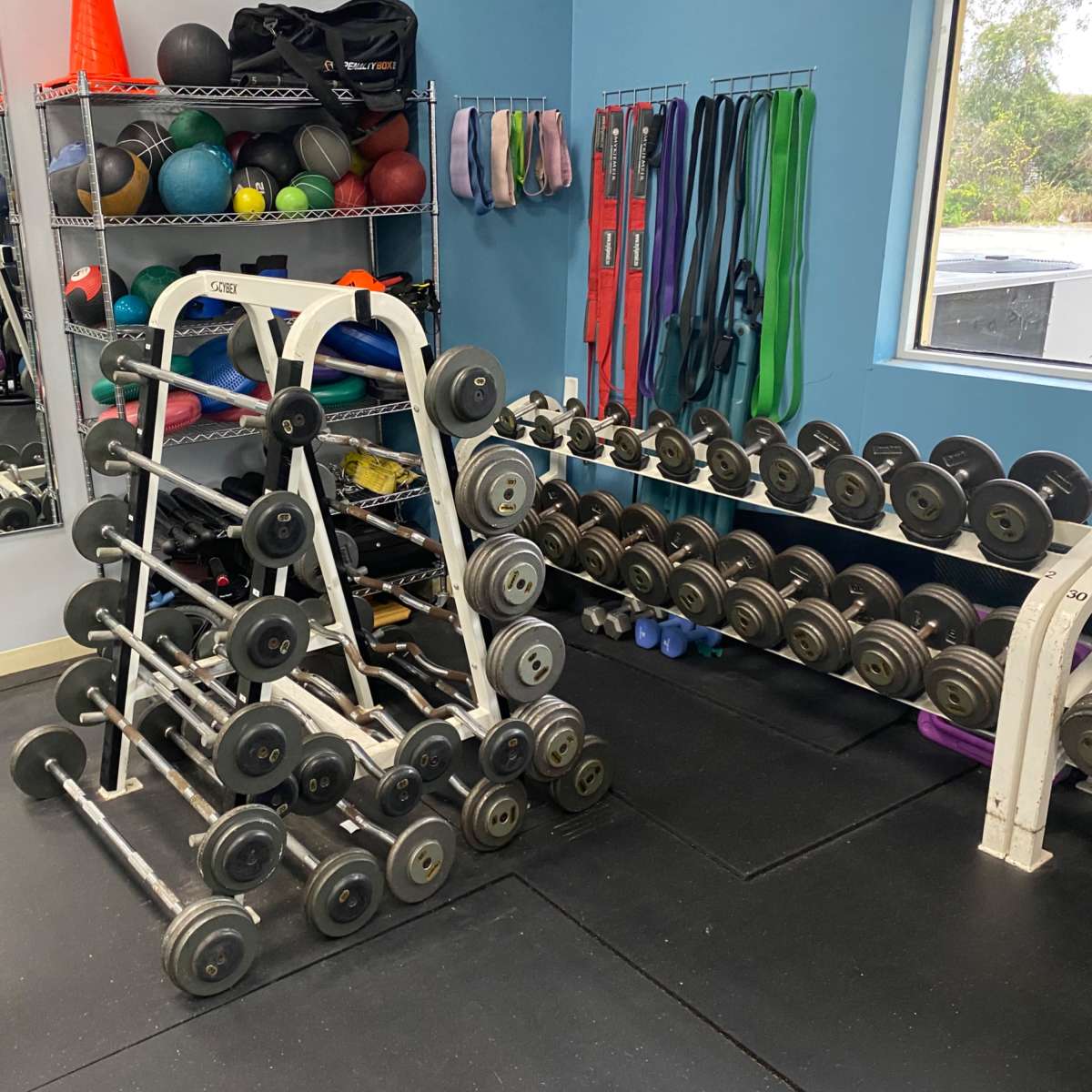 A small gym area with a rack of dumbbells, exercise balls, resistance bands, and weight training equipment against a blue wall.