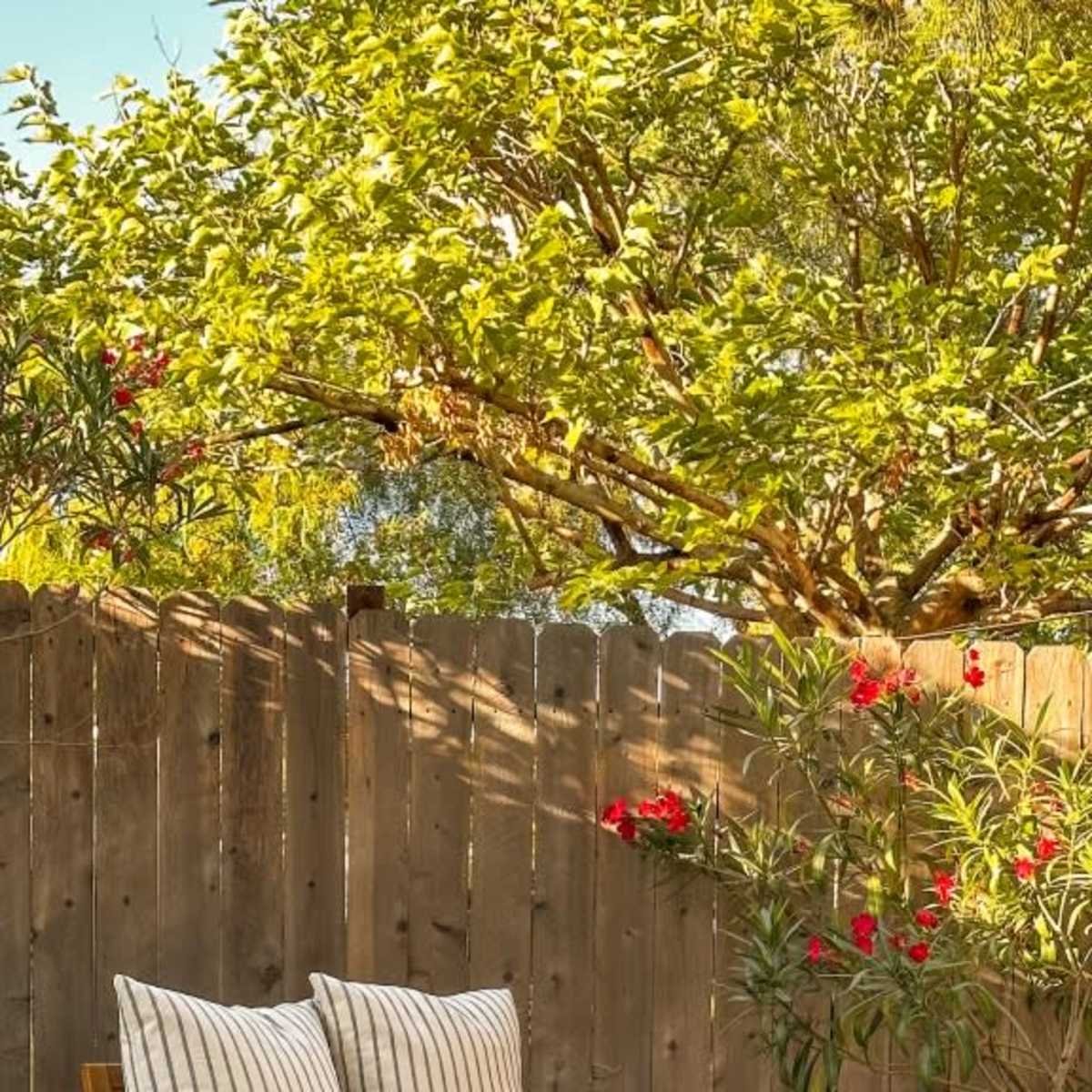 A wooden bench with striped cushions is placed on a patio surrounded by a wooden fence and flowering shrubs, with a woven basket and coffee cups on a nearby rug.