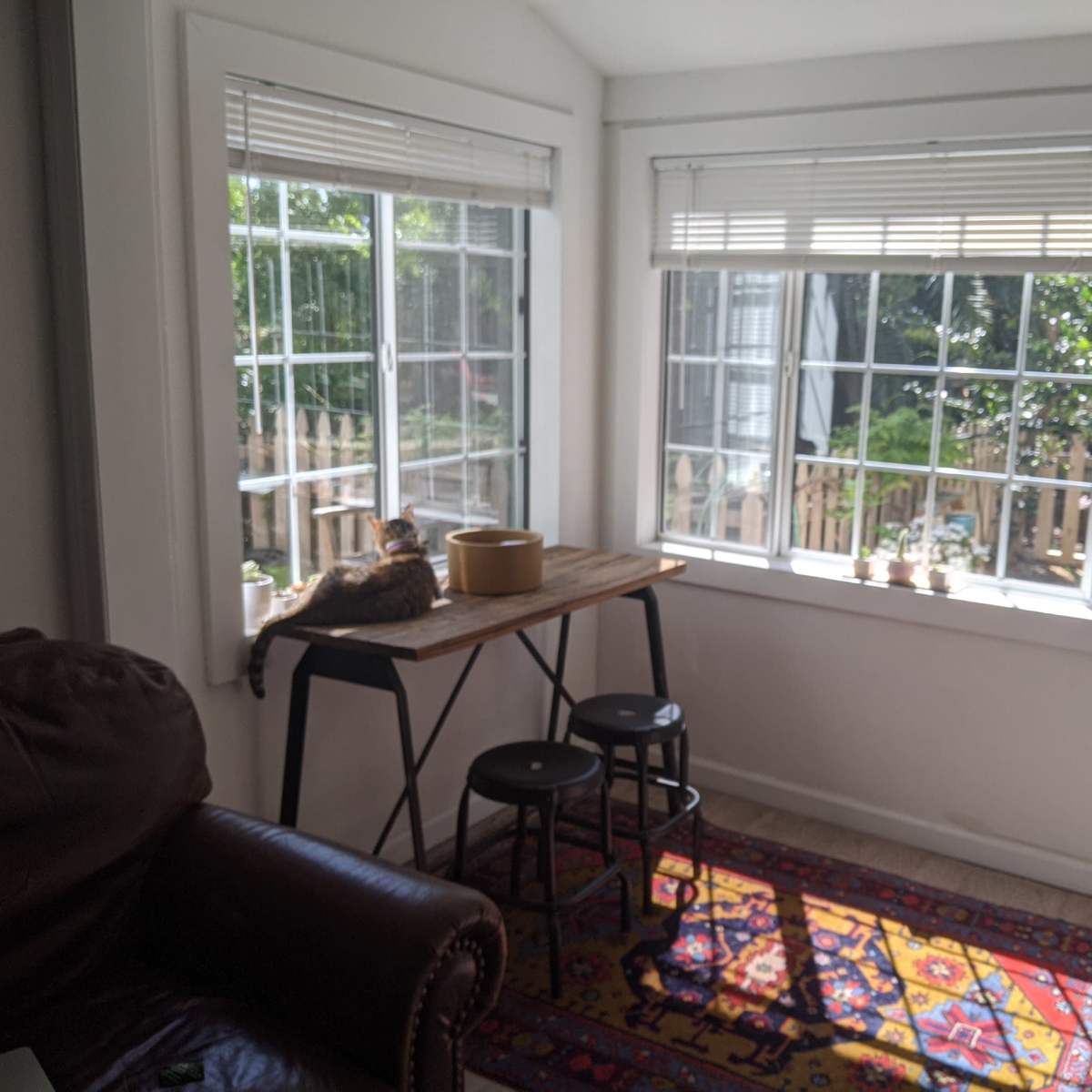 A sunlit corner features a table with a cat lounging on it, two stools nearby, and large windows providing a view of an outdoor garden.