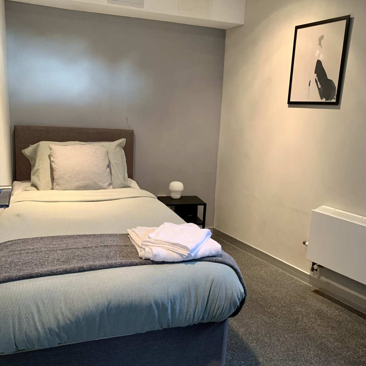 A compact bedroom featuring a single bed with a gray and white color scheme, a bedside table with a lamp, and a framed artwork on the wall.