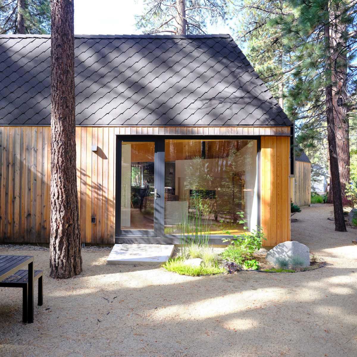 A modern wooden cabin with large glass doors set among tall trees and a gravel pathway.