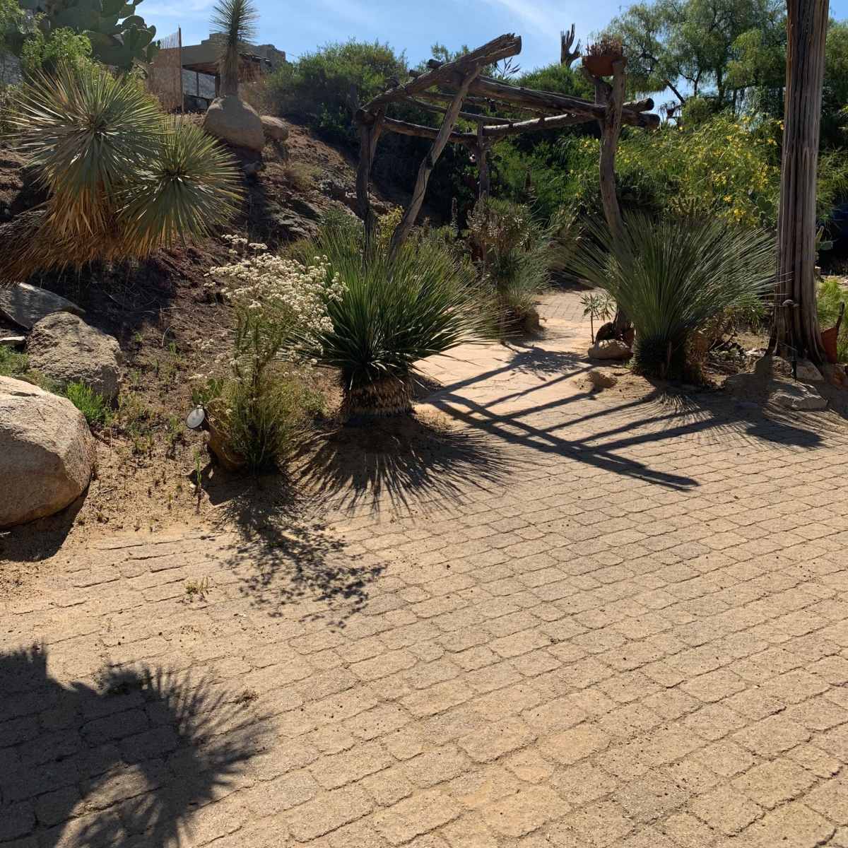 A landscaped desert garden path lined with various plants, rocks, and a wooden structure in the background under a clear blue sky.
