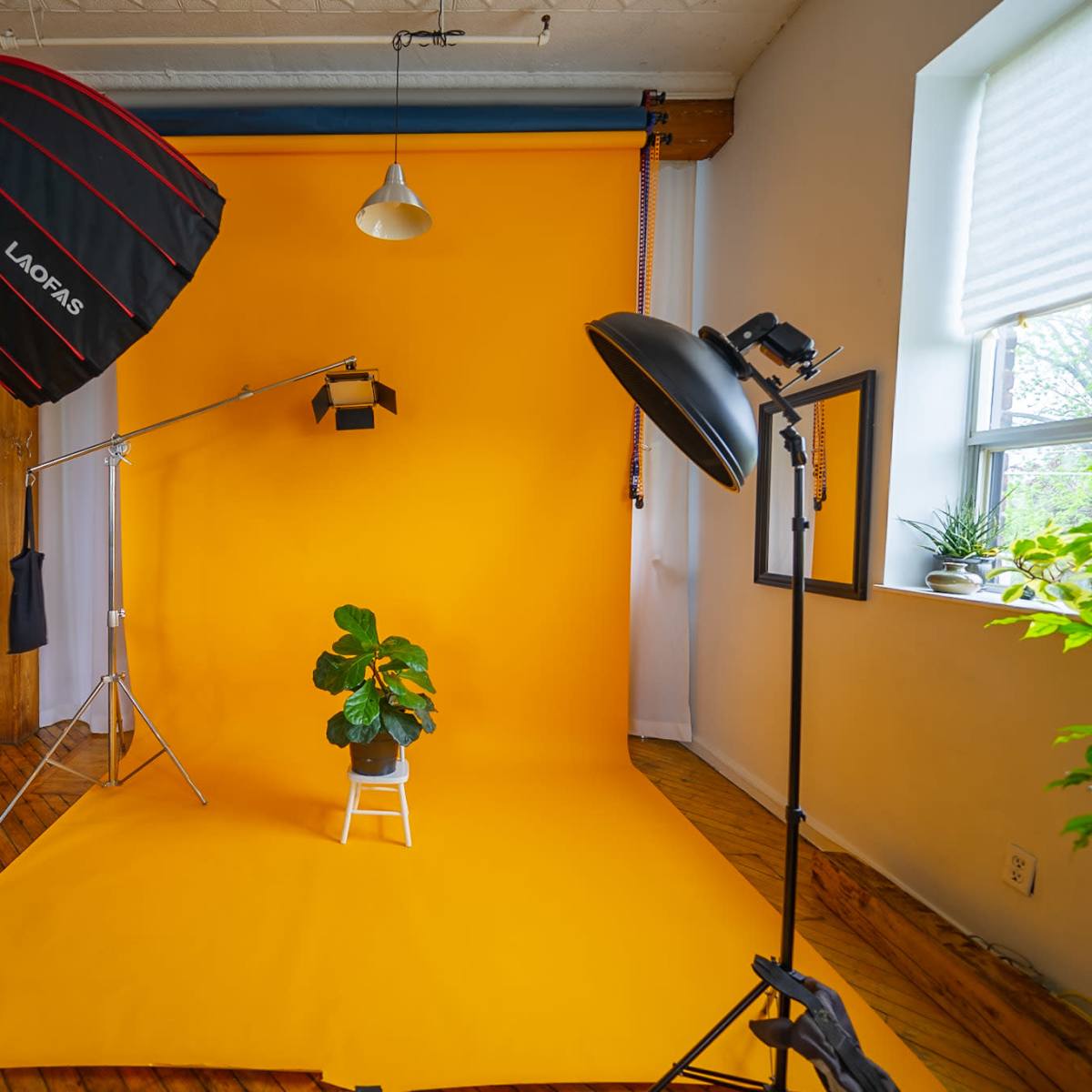 A photography studio setup with a bright yellow backdrop, lighting equipment, and a small potted plant on a white stool.