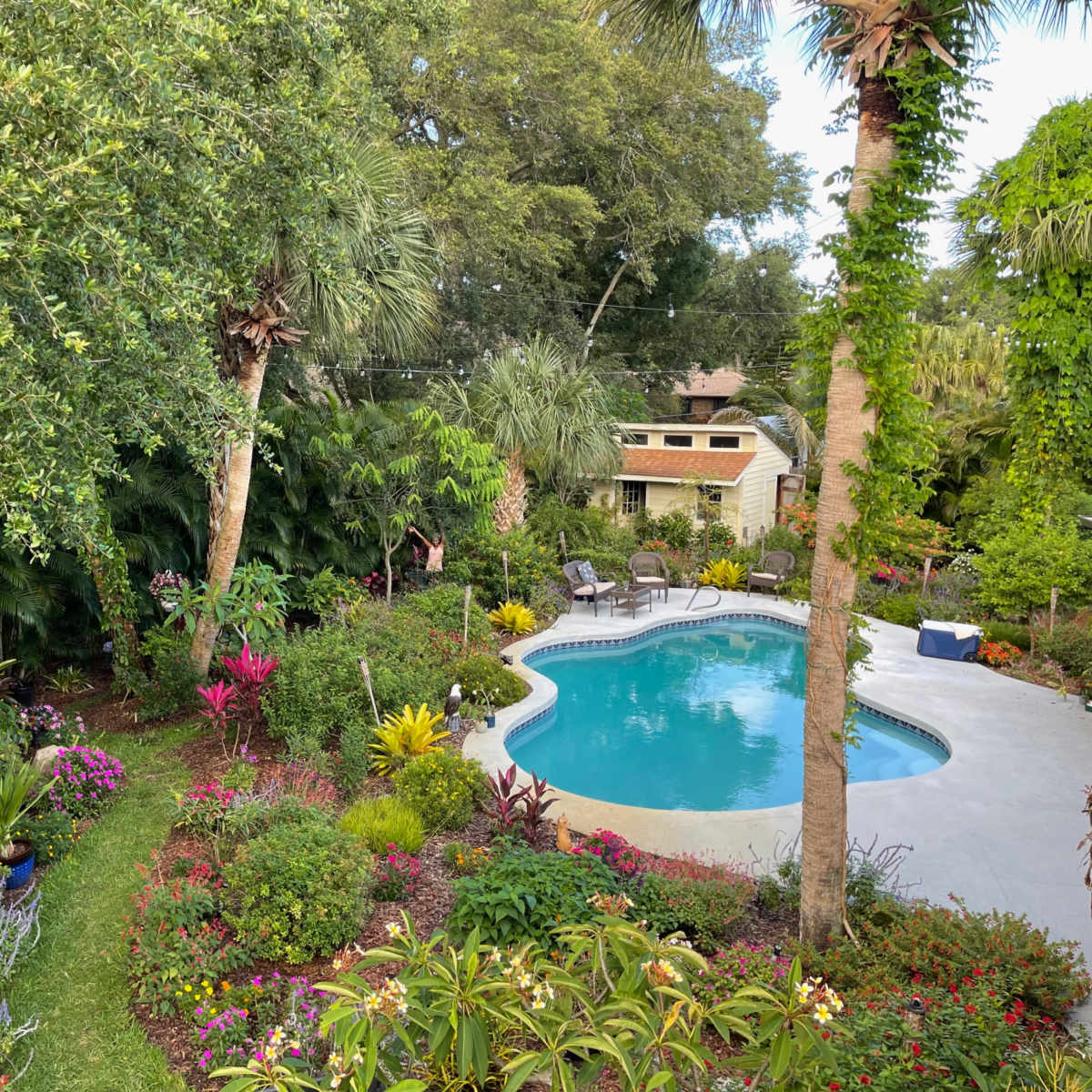 Tropical Butterfly Garden and Pool in Palm Bay Image in Palm Bay, Palm Bay, FL