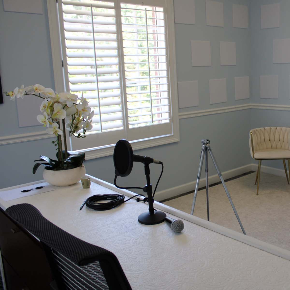 A light blue room features a desk with a microphone, a tripod, and two elegant chairs positioned around a decorative plant.