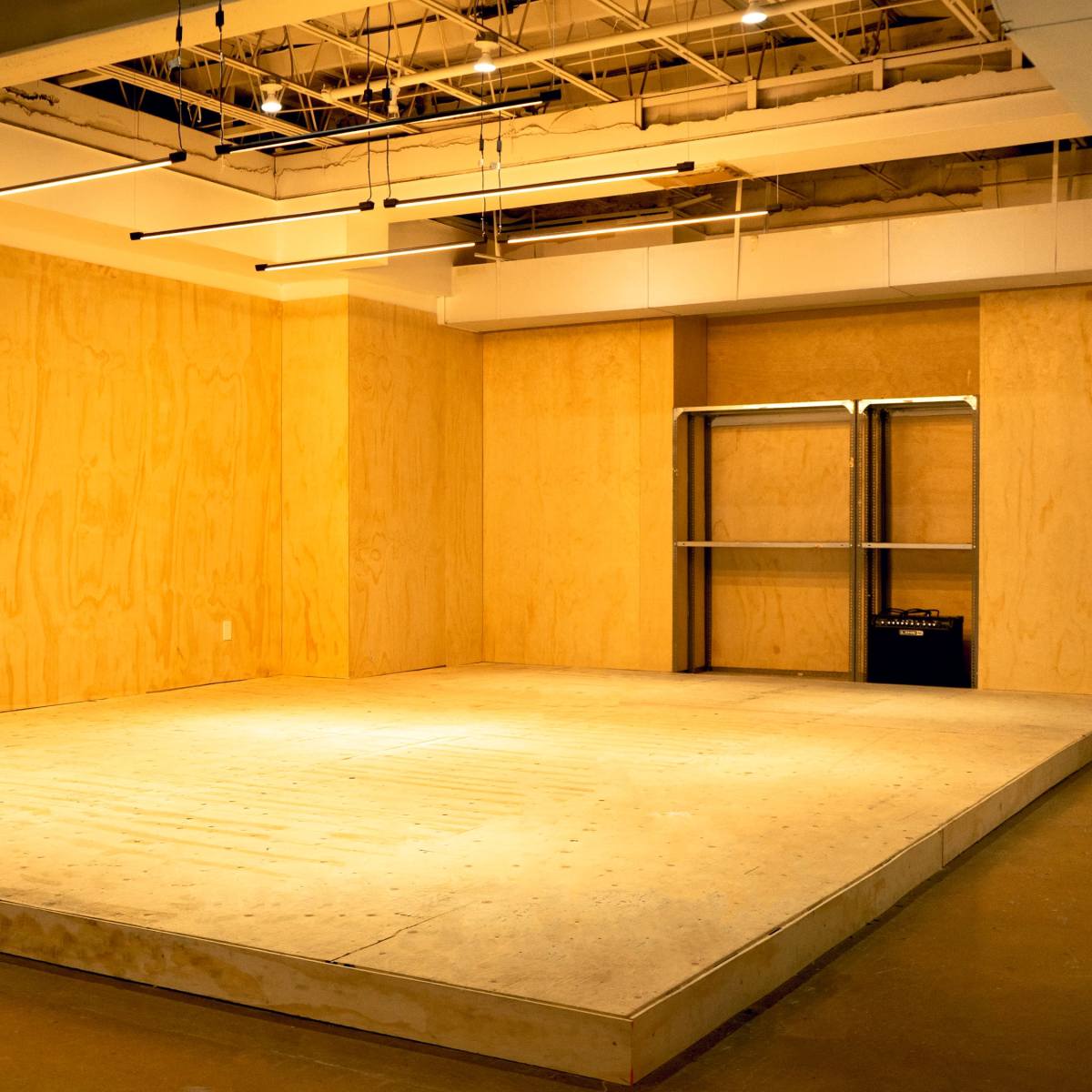 A spacious room with a raised wooden platform, bare plywood walls, and minimal lighting fixtures.
